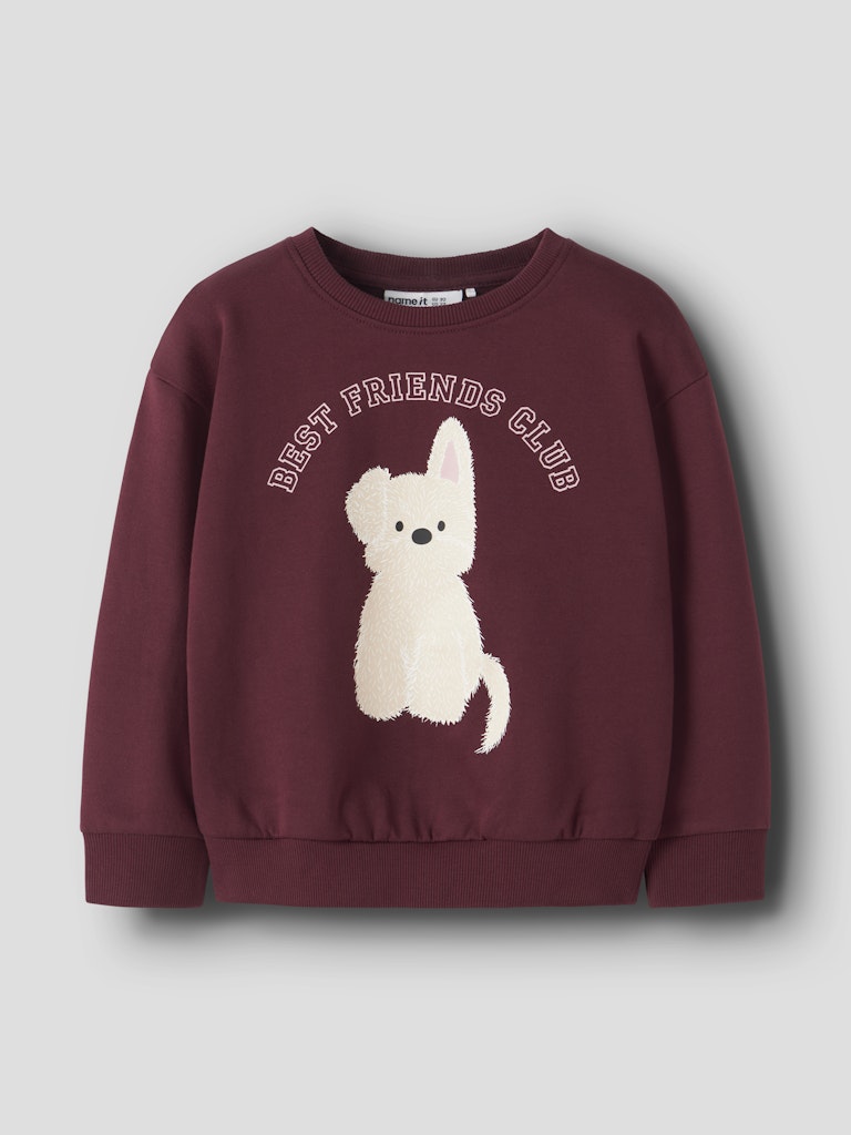 Sweattröja Viloui Hund Vinröd