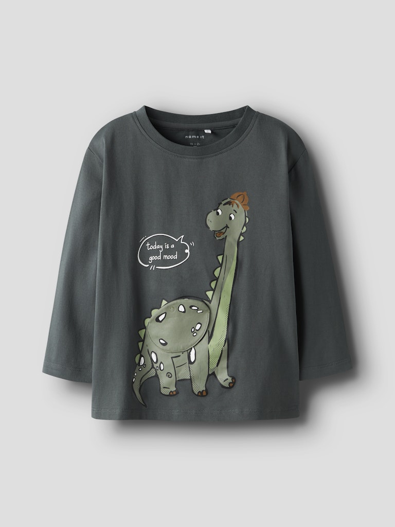 Långärmad T-shirt Dinosaurie Tamir Grå