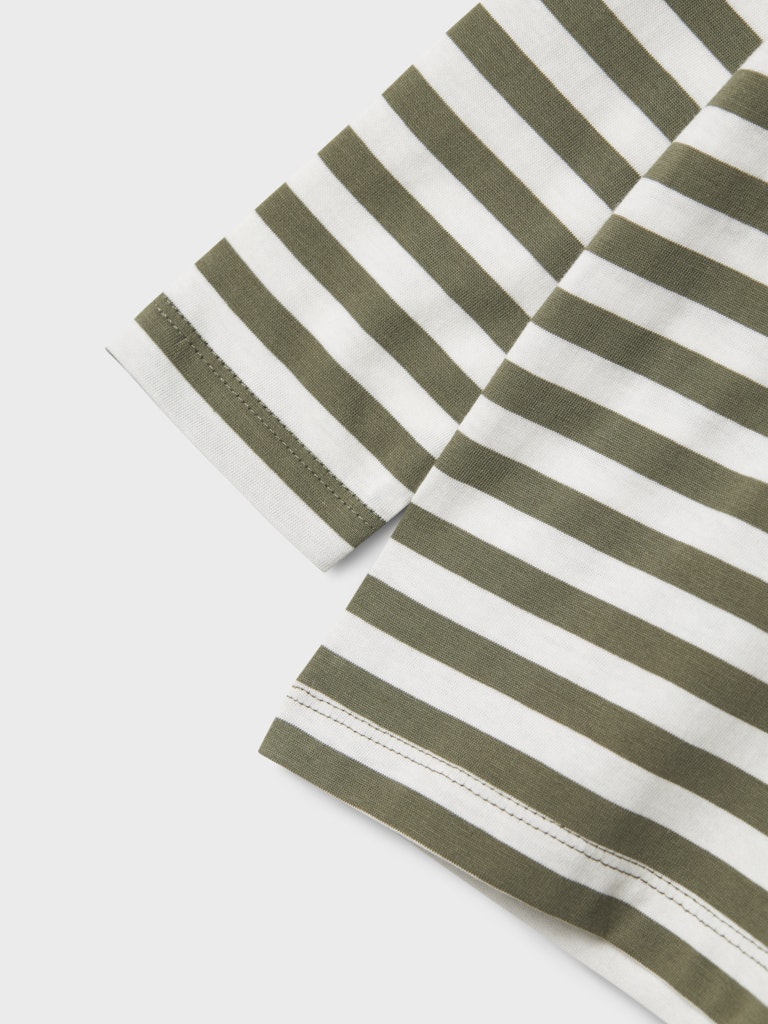 Långärmad T-shirt Salmo Randig Grön