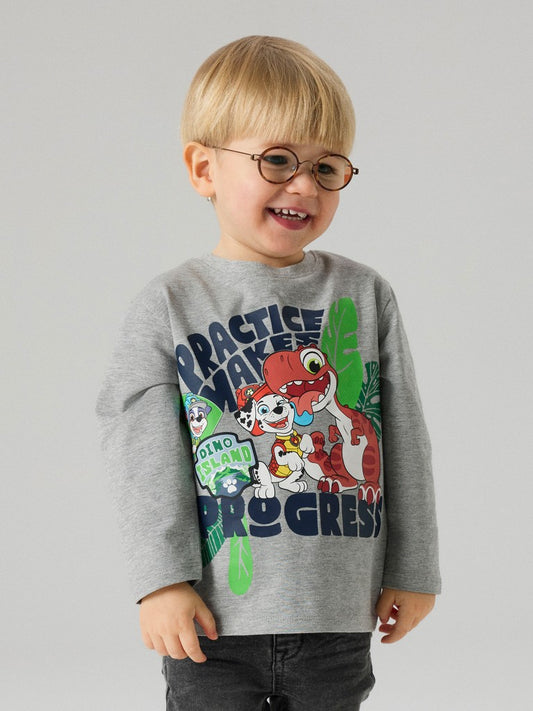 Topp Långärmad Paw Patrol Jik Grå