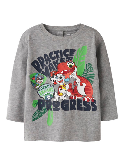 Topp Långärmad Paw Patrol Jik Grå