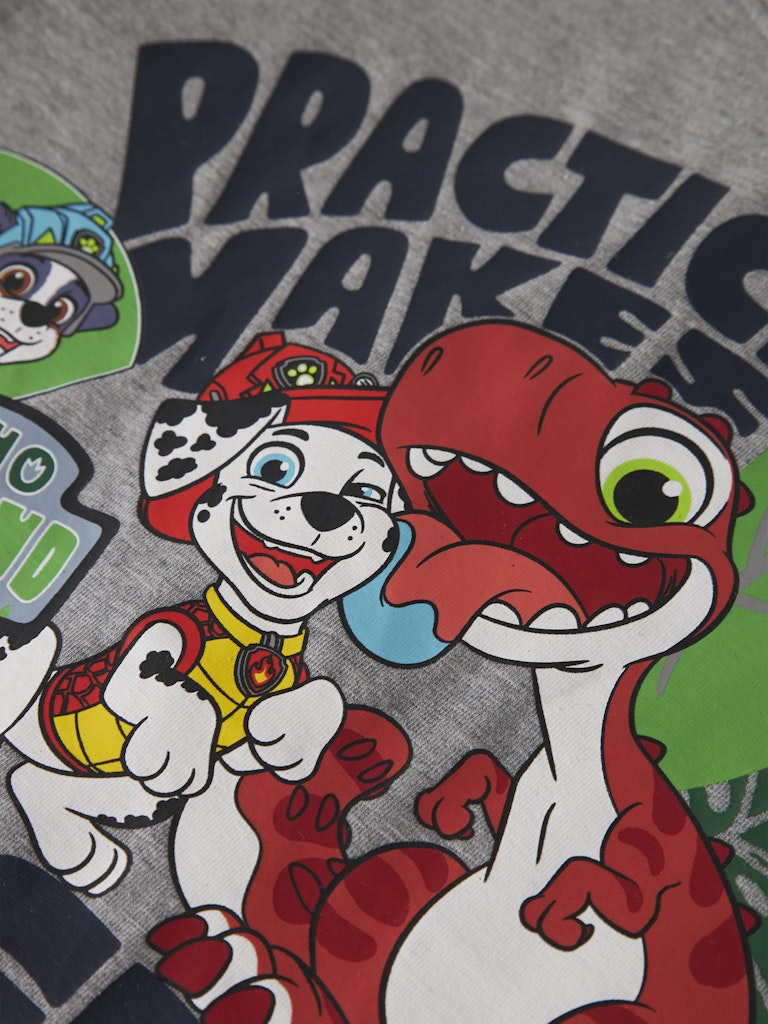 Topp Långärmad Paw Patrol Jik Grå