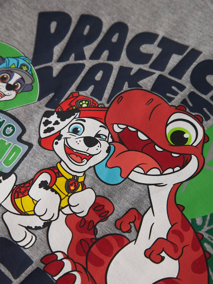 Topp Långärmad Paw Patrol Jik Grå