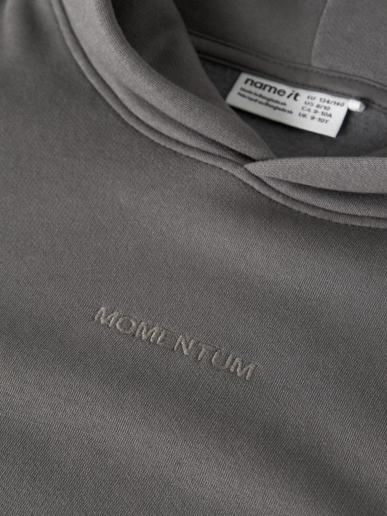 Hoodie Roen Enfärgad Grå