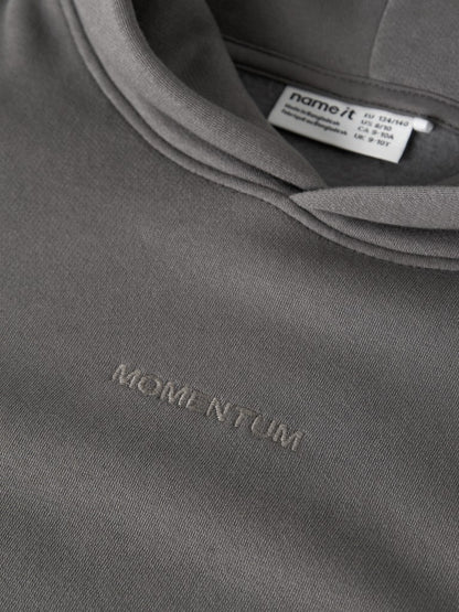 Hoodie Roen Enfärgad Grå