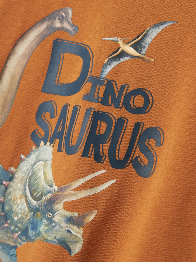 Långärmad T-shirt Dinosaurie Kas Brun