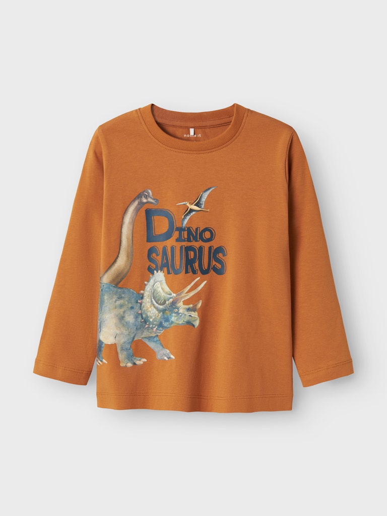 Långärmad T-shirt Dinosaurie Kas Brun