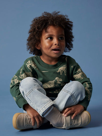 Sweattröja Dinosaurier Nilaus Grön