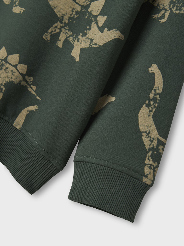 Sweattröja Dinosaurier Nilaus Grön