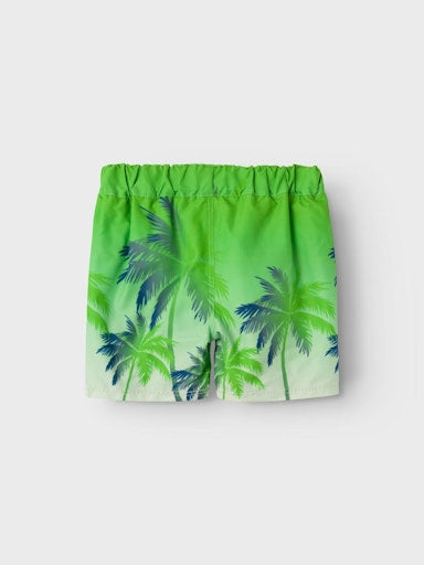 Badshorts Zoccas Paimer Grön