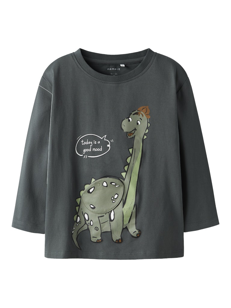 Långärmad T-shirt Dinosaurie Tamir Grå