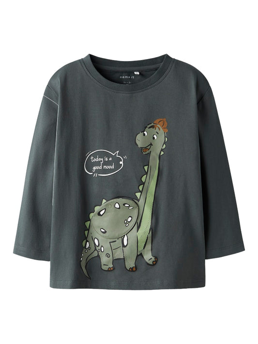 Långärmad T-shirt Dinosaurie Tamir Grå
