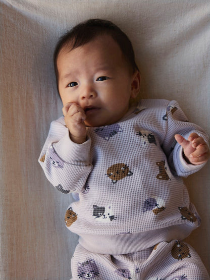 Sweattröja Katter Våfflad Tammie Lila