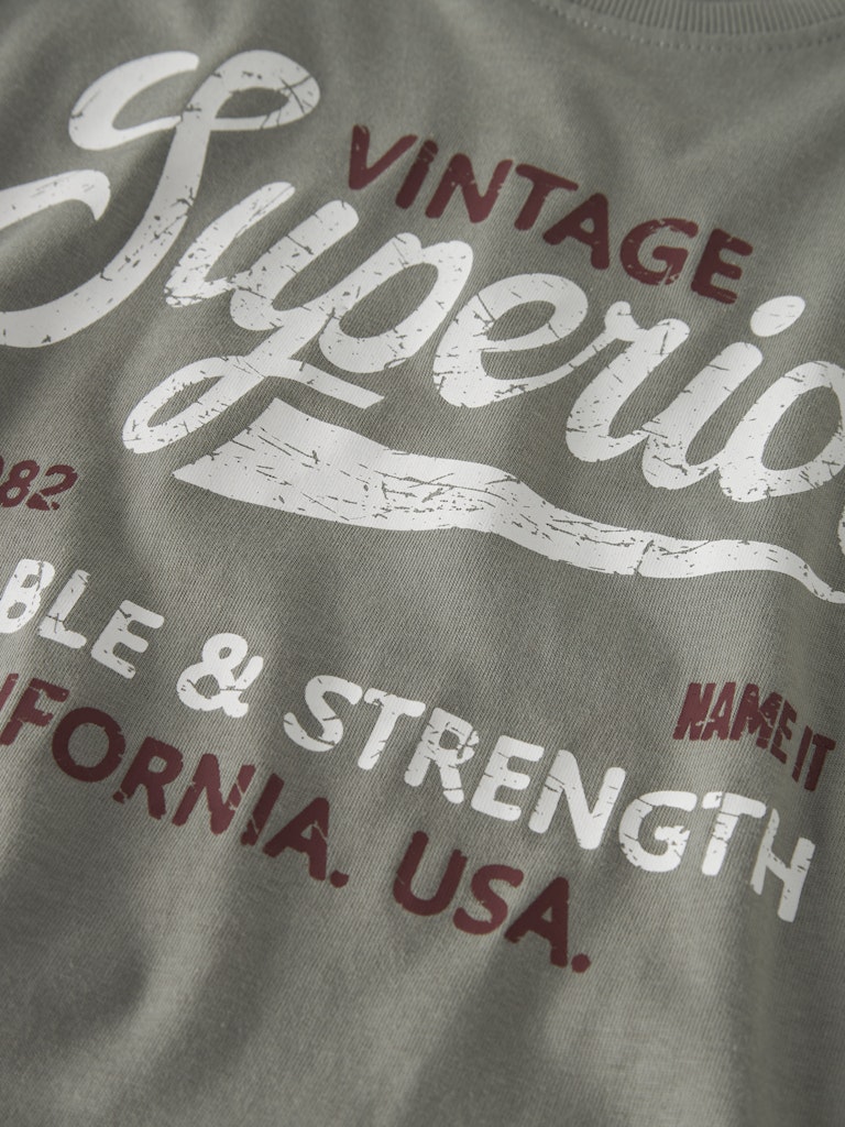 T-shirt Vilogo Superior Grön