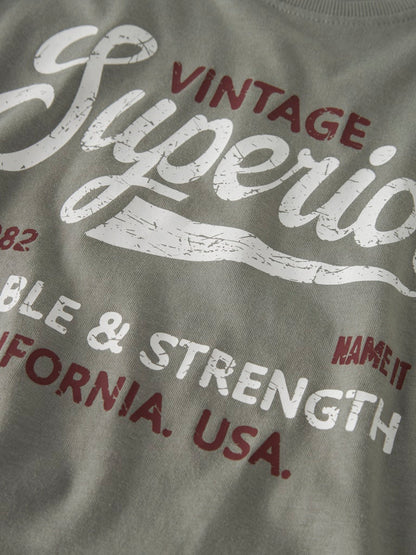 T-shirt Vilogo Superior Grön